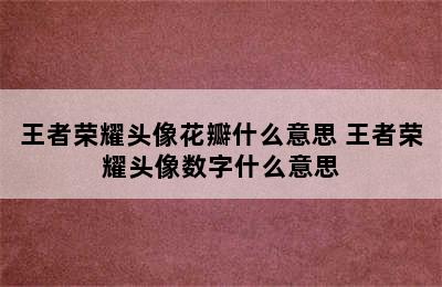 王者荣耀头像花瓣什么意思 王者荣耀头像数字什么意思